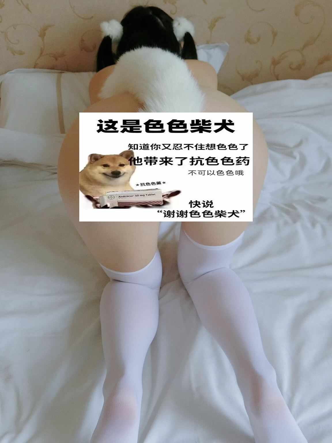 b7a75b064f20240824064741